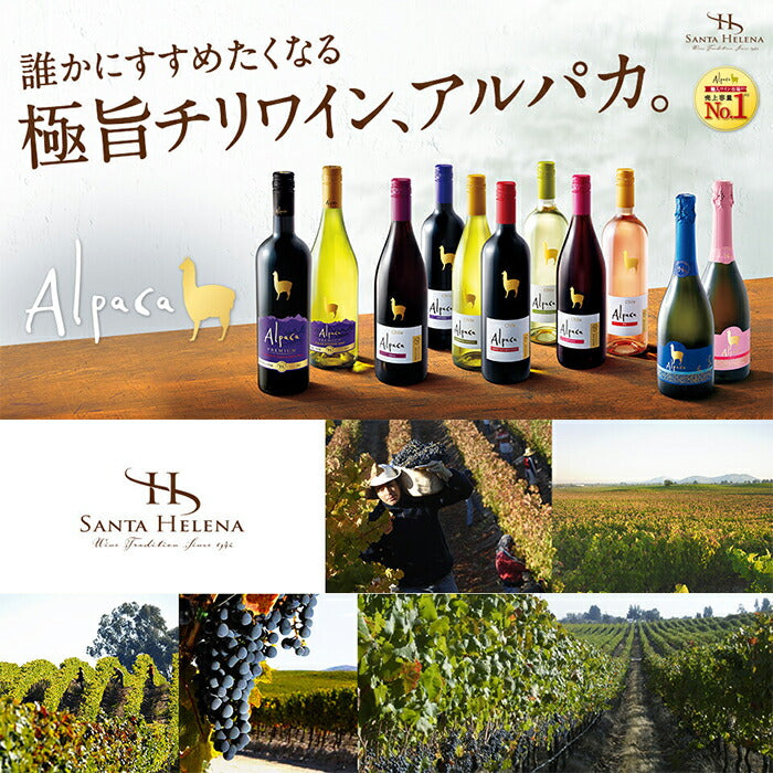 お得な12本セット】サンタ・ヘレナ・アルパカ・シラー SANTA HELENA