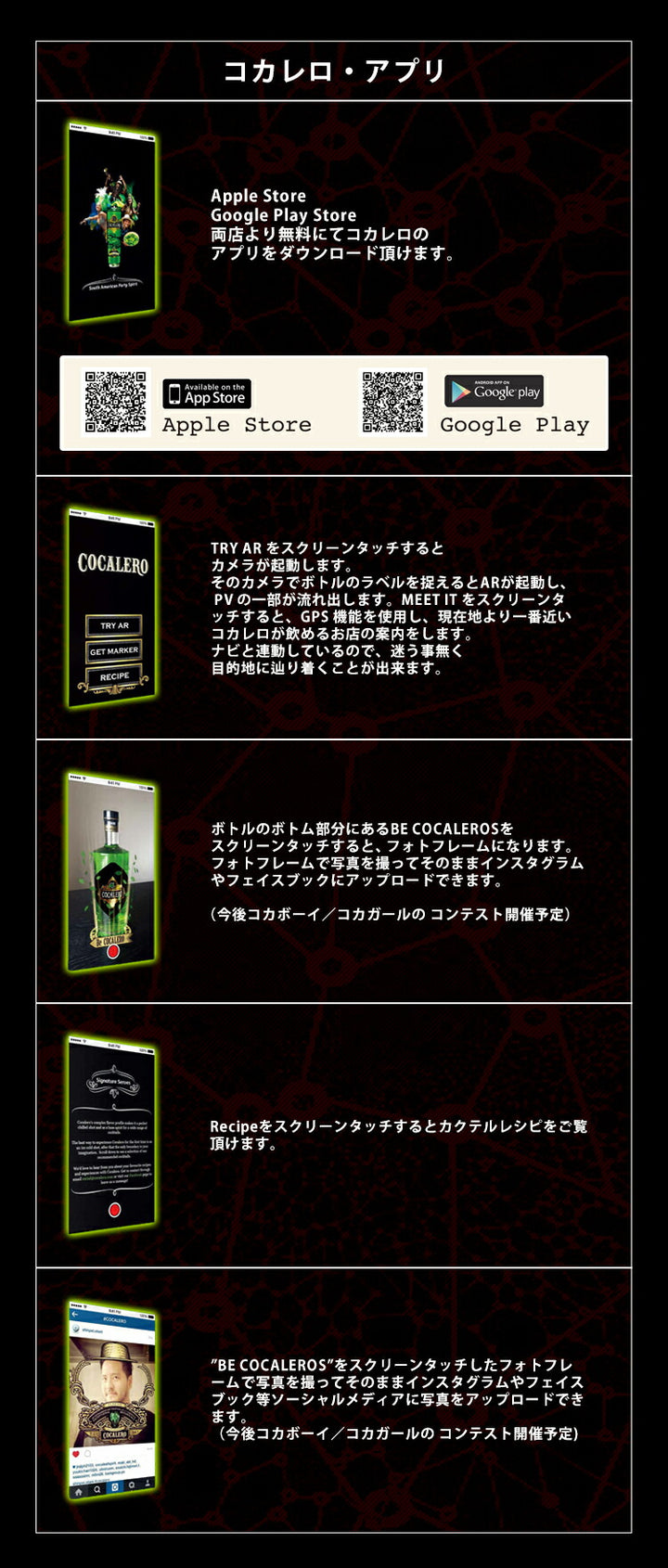 コカレロ　700ml2本セット enokishouten_bc0-rg3-xtb